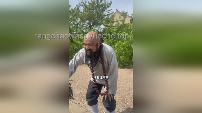 **“洒家会些医术，也略懂一些拳脚”：跨界生活的艺术**
